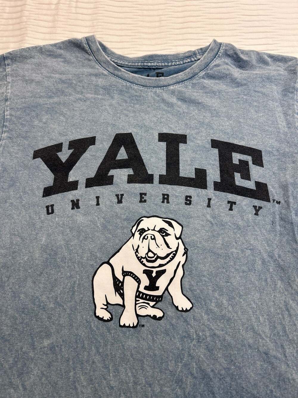 Yale University T-Shirt Size S Blue Bulldog Graphic College Crop Tee